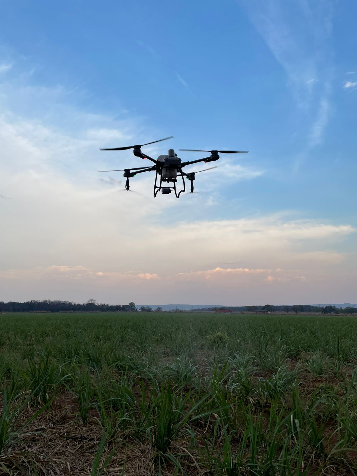 Drone pulverizando lavoura